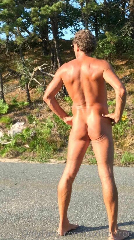 Textile Free perfect star archive