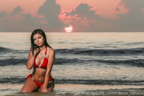 Cassie Luna sexy model img