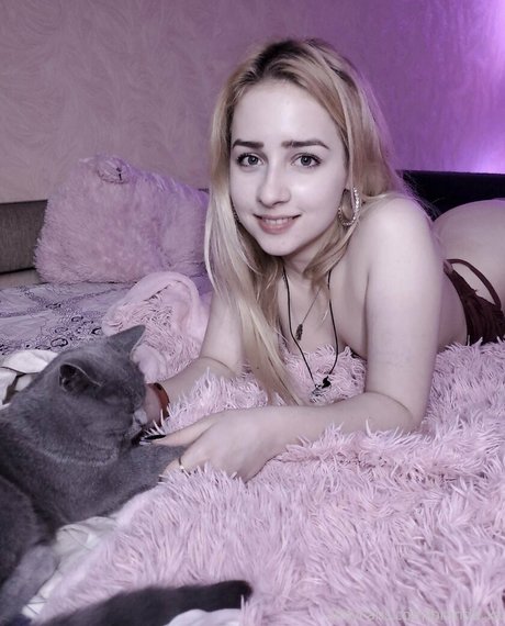 branda xx hd star galleries