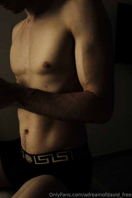 Adreamofdavid Free hd model archive