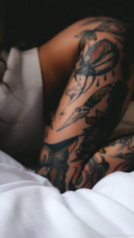 _volchara model xxx image