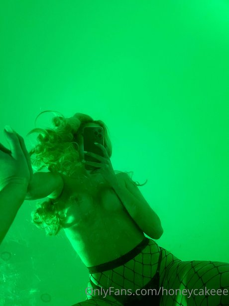 honey cake model top pictures