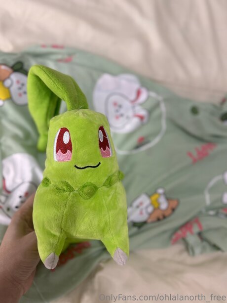 Ohlalanorth Free perfect star photo