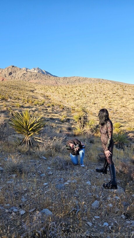 sloppy blowjob onlyfans hot nude img