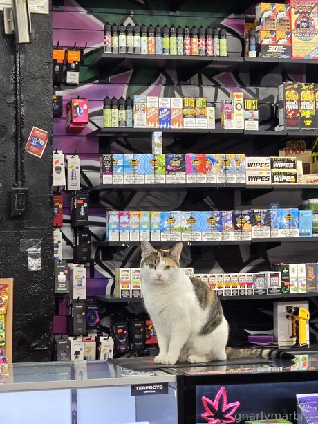 disabled onlyfans art xxx image