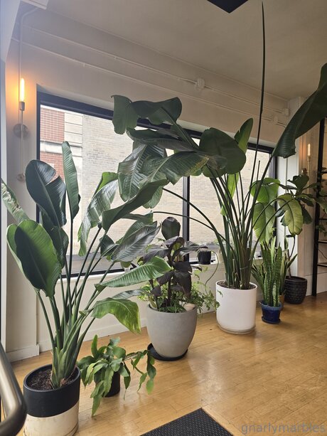 hairy twink onlyfans art porn image