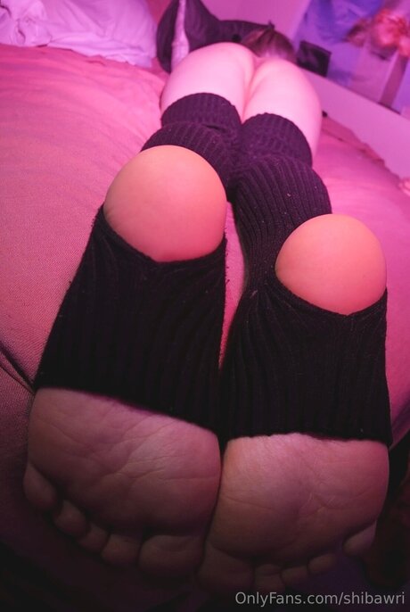 Shibawri pornstar free photo