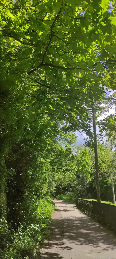 cosplay femboy onlyfans free images