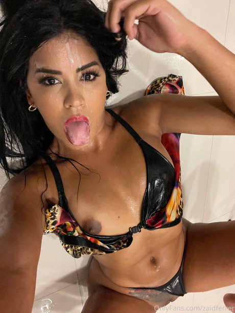 Zaid Ferrer art actress pics