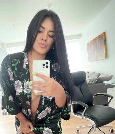 Zaid Ferrer art star archive