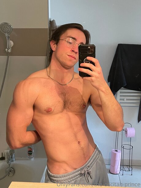 The Occitan Prince free pornstar photo