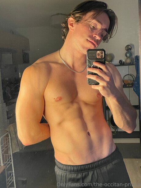 The Occitan Prince adult star pic