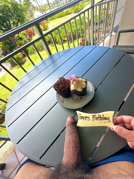 Dibarros1 best model images