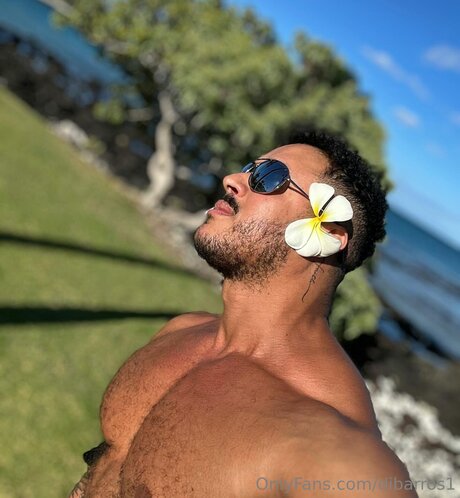 Dibarros1 pornstar art images