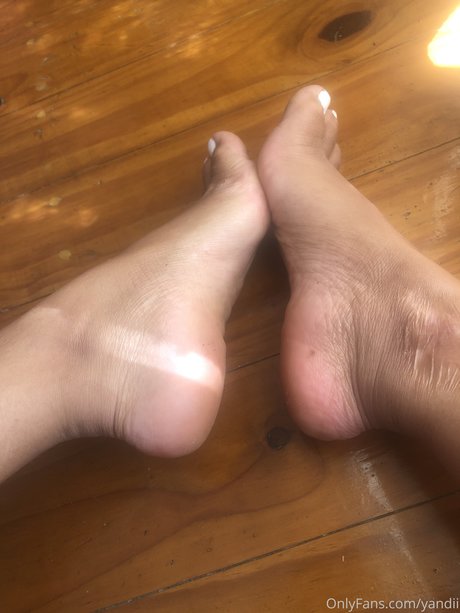 Yandii_ porn star archive