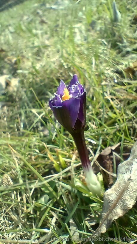 latina blowjob onlyfans nudes photos