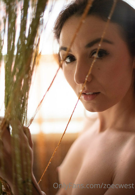 zoecwest nudes pornstar archive