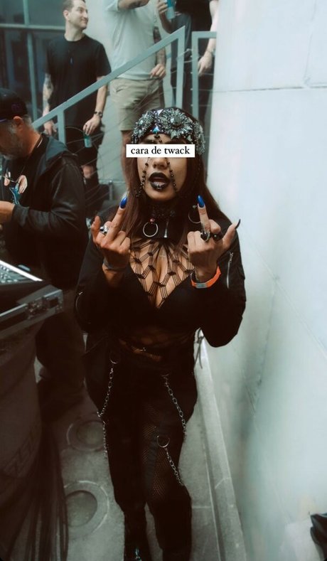 Noheli_ star adult img