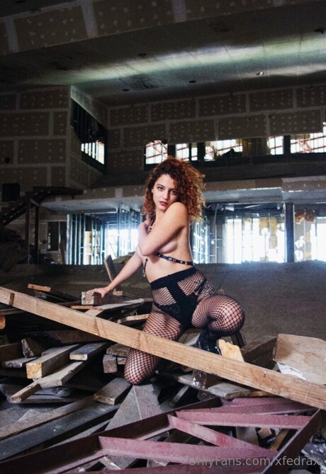 Xfedrax pornstar art archive