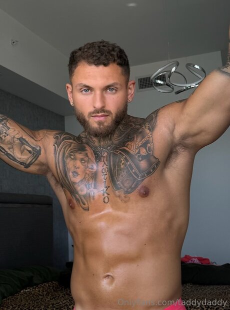 Taddydaddy hd star photos