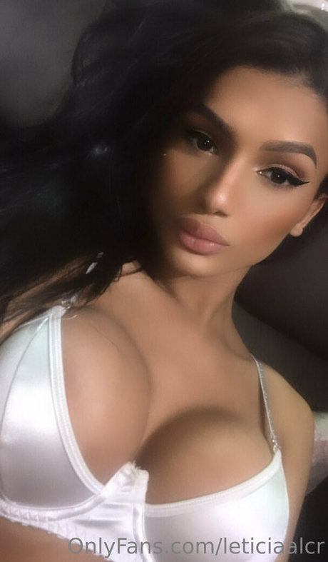 leticiaalcr art star galleries