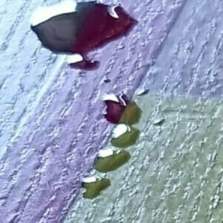 scarlett johnson24 star best image