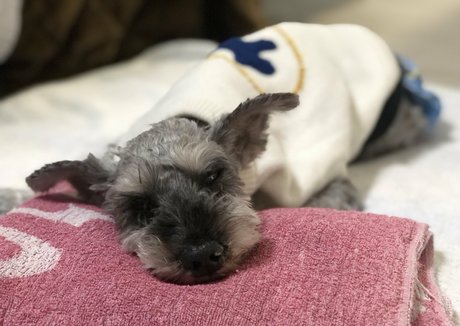 bbc twink onlyfans beautiful nude image