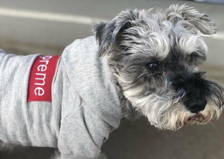 shemale outdoor onlyfans nude pic