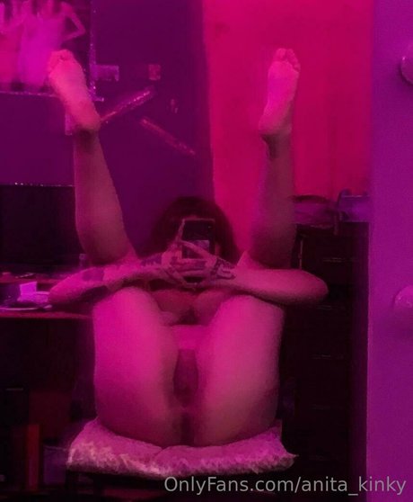 anita kinky adult star gallery