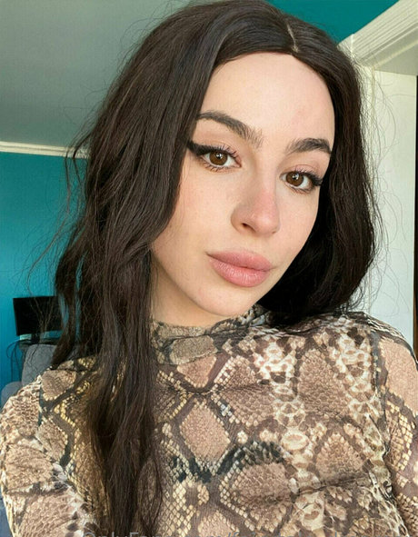 fairytale dreamer star adult img