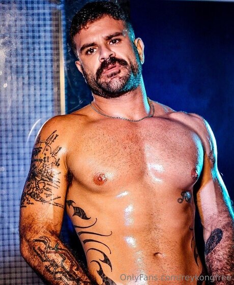 Reykongfree Profile Pic