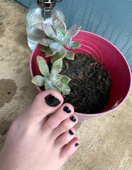 popular trans onlyfans sex pictures