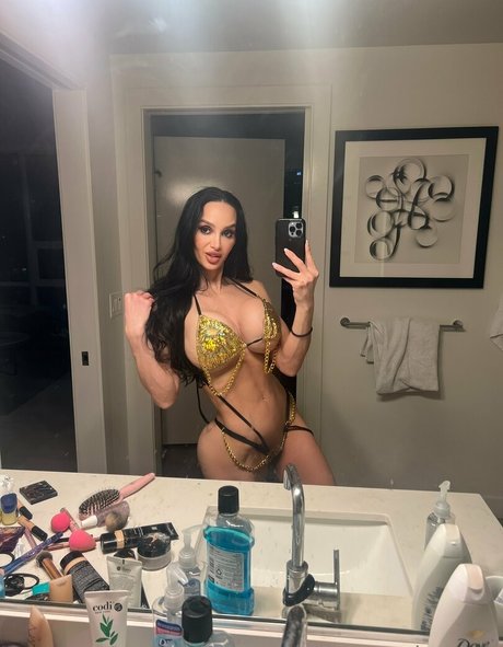 amyanderssen nice star galleries