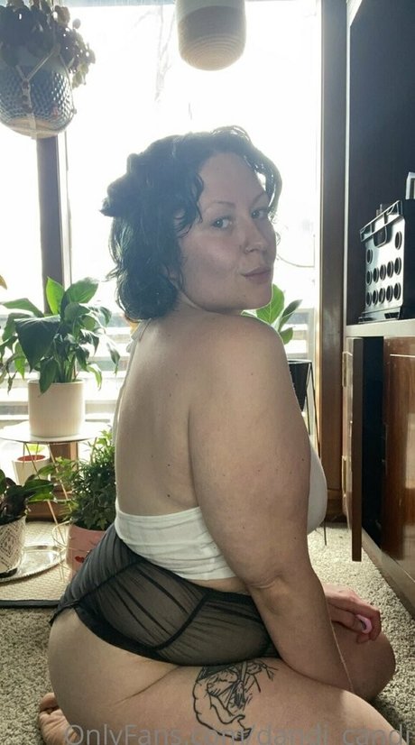 dandi candi star beautiful gallery