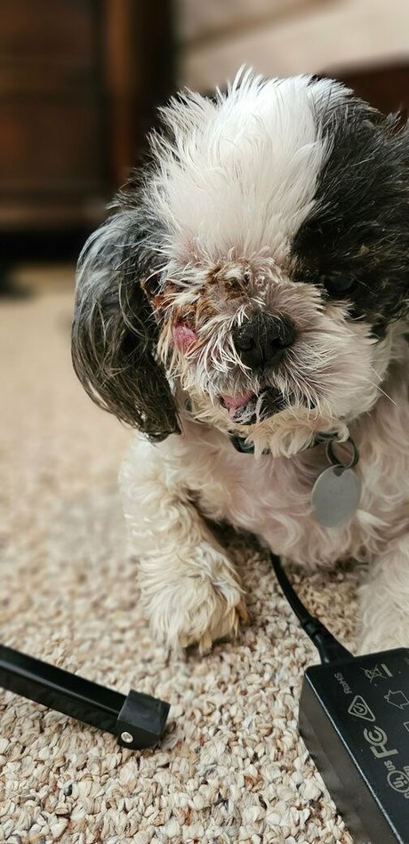 asmr male onlyfans sex pictures