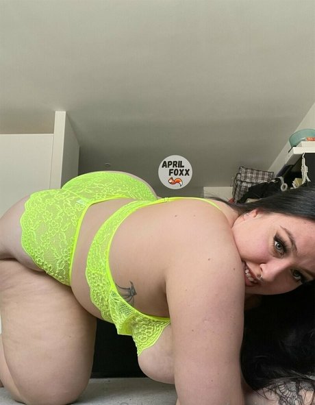 aprilfoxxxx porn actress img