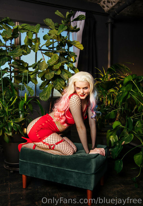 gay dildo onlyfans xxx galleries