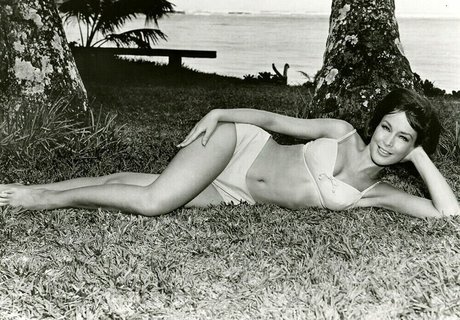 Barbara Eden best pornstar pics