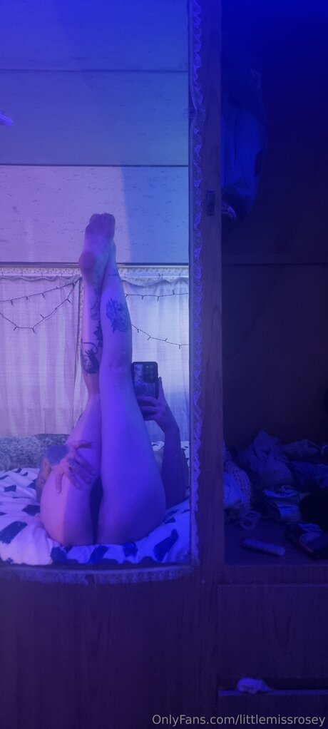 Littlemissrosey star top img