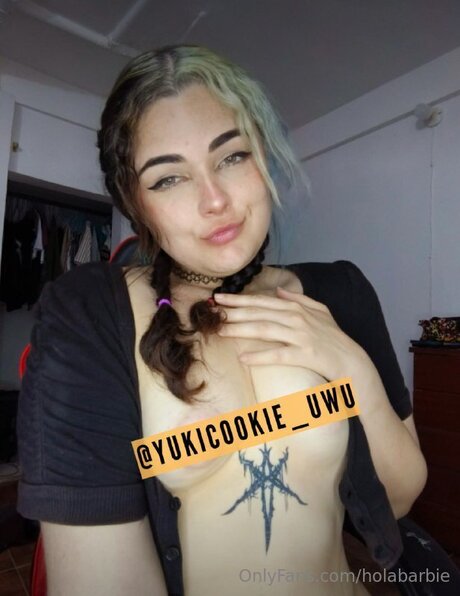 Holabarbie star best picture