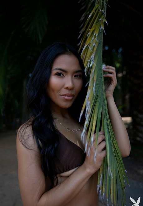 bbc femboy onlyfans hot xxx images