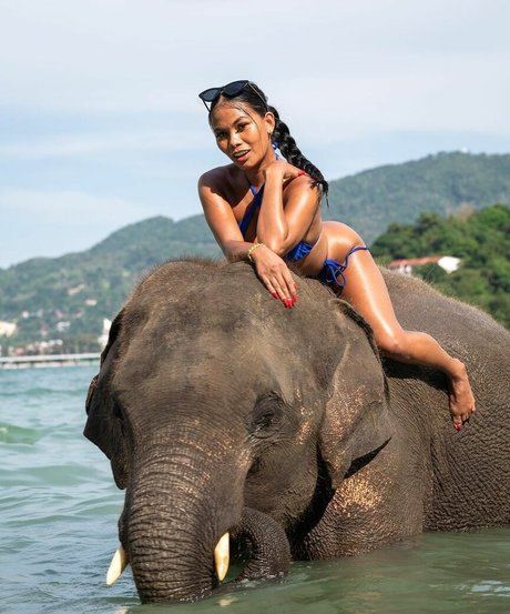 arab twink onlyfans nudes archive