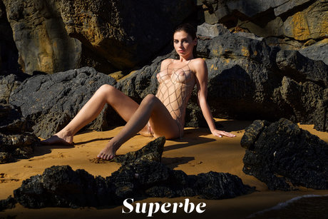 reverse gangbang onlyfans free picture