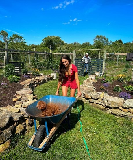 twinks onlyfans porn image