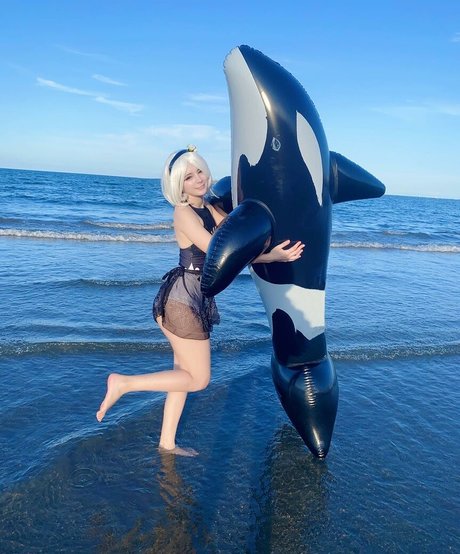 Belhino star art images