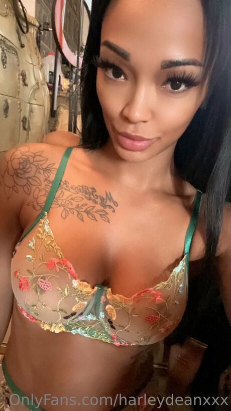 Harleydeanxxx star best images