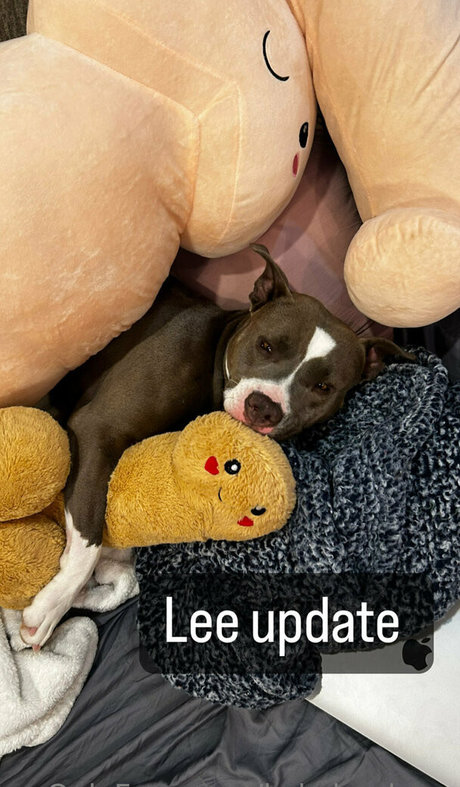 beauty teen onlyfans sexy nudes pictures