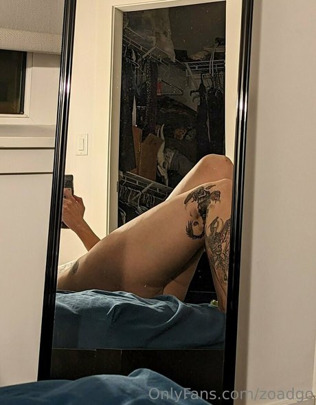 zoadgo nice star archive