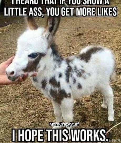 striptease onlyfans adult pictures