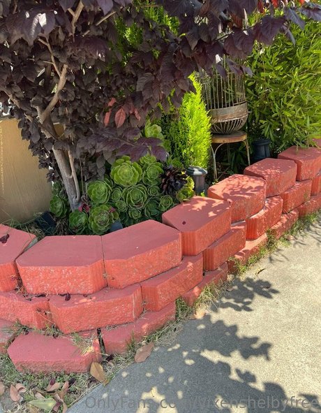 vixenshelbyfree model sexy galleries